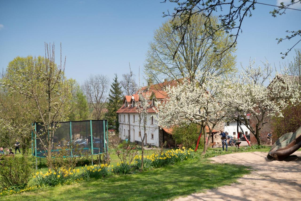 شفيرجافا Villa Greta المظهر الخارجي الصورة